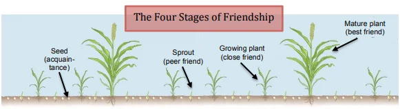 The-Four-Stages-Of-Friendships