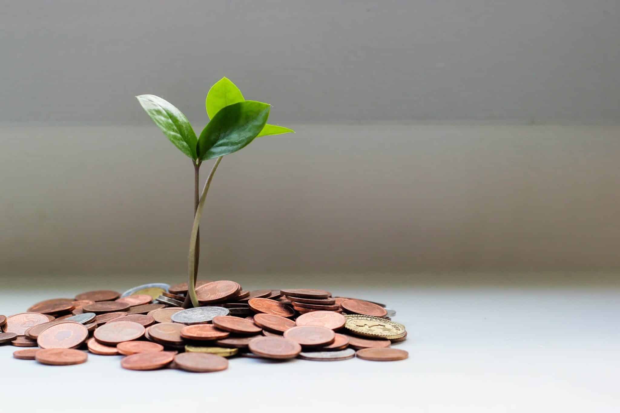 personal finance tips